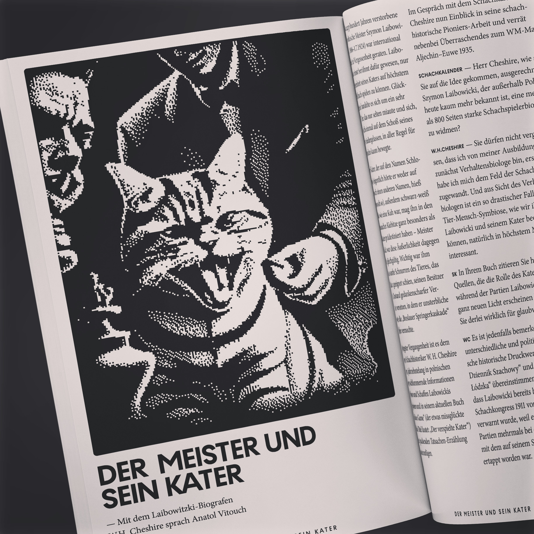 Der Meister und sein Kater